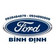 Dana Ford Bình Định